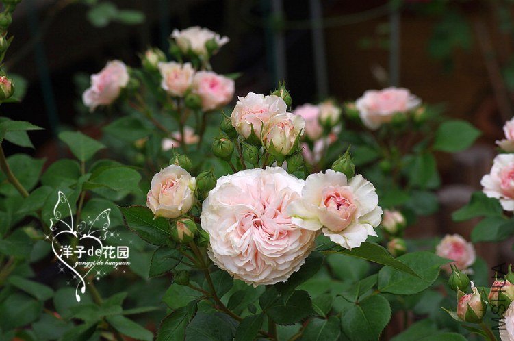 IMGP5850.JPG