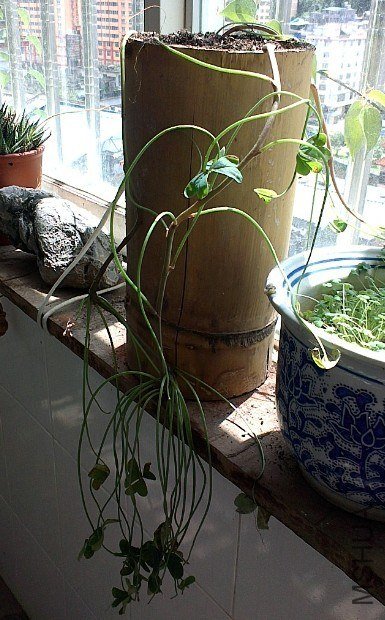 IMAG0722.jpg