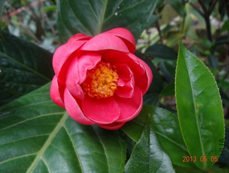 QQͼƬ20130505123149.jpg