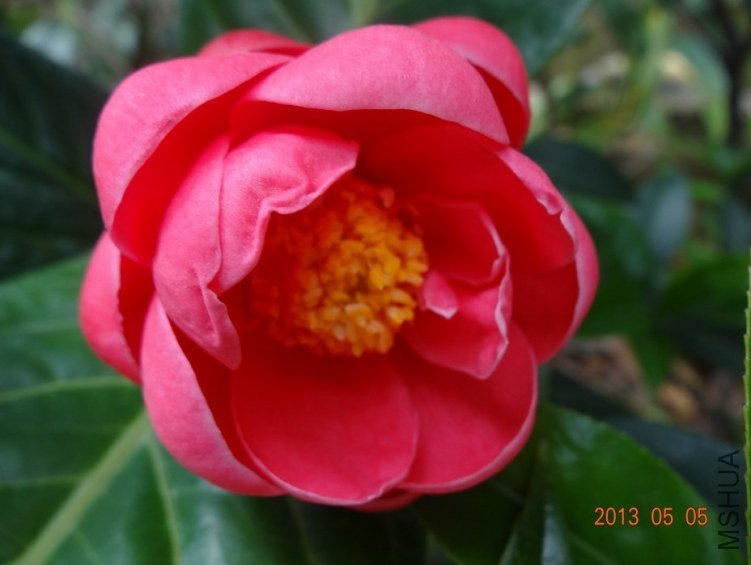 QQͼƬ20130505123155.jpg