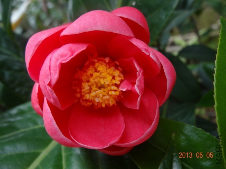 QQͼƬ20130505123200.jpg
