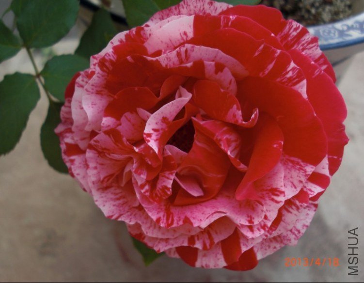 KVZ~X@F_LK(D]1B_8L7C`37.jpg