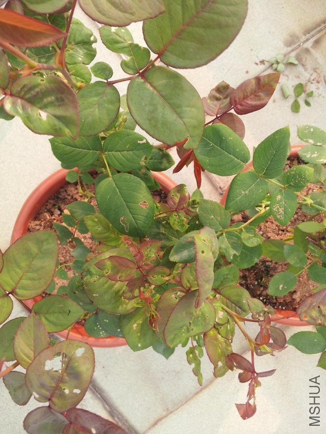 ������һ��