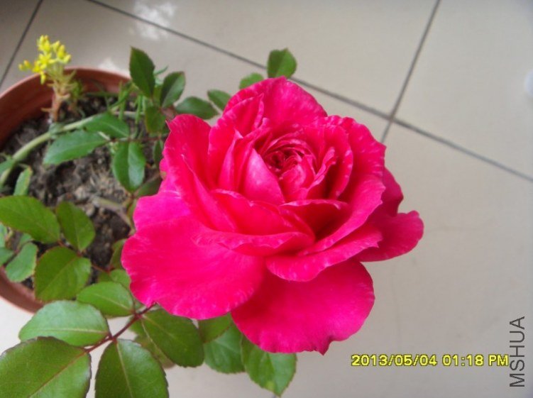 QQ��ͼ20130505182415.jpg