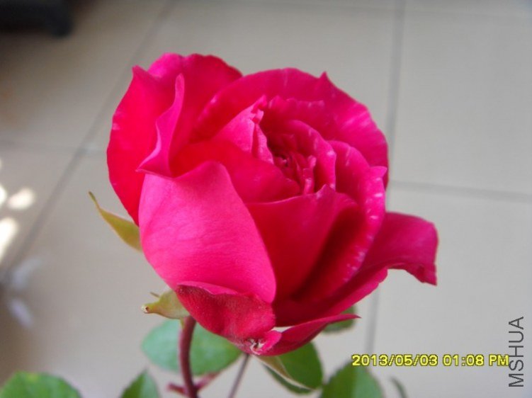 QQ��ͼ20130505182358.jpg