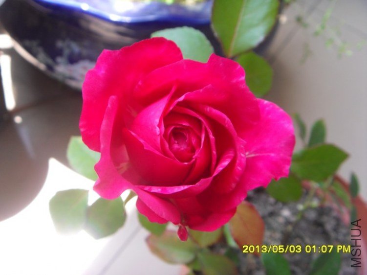 QQ��ͼ20130505182346.jpg