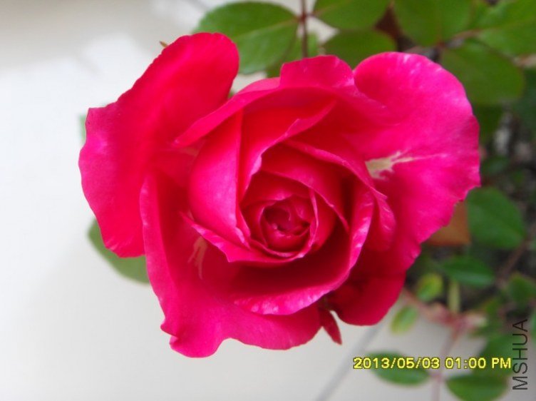 QQ��ͼ20130505182315.jpg