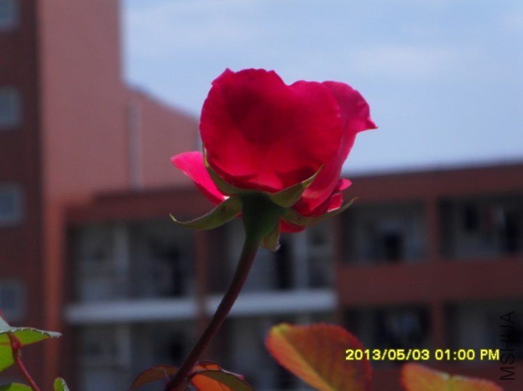 QQ��ͼ20130505182302.jpg