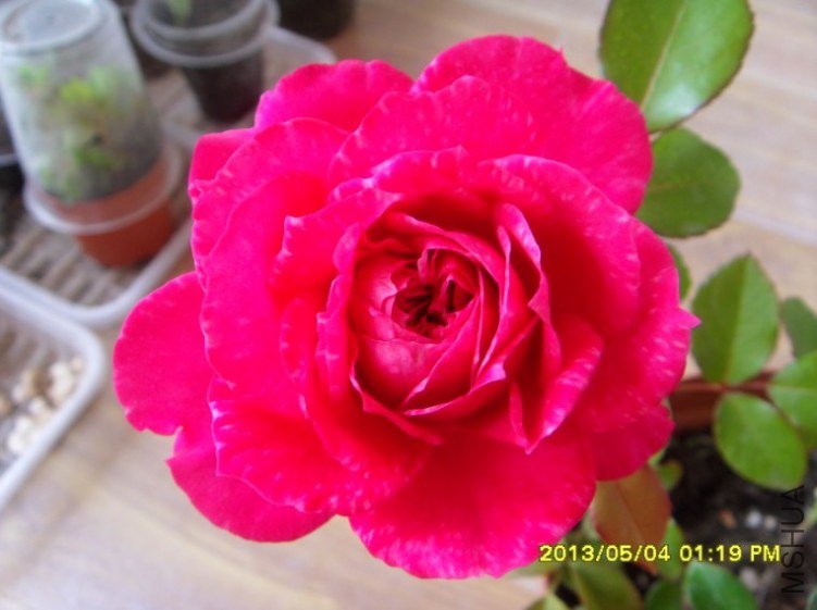 QQ��ͼ20130505182514.jpg