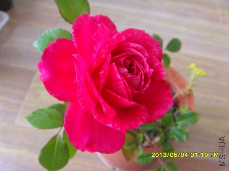 QQ��ͼ20130505182505.jpg