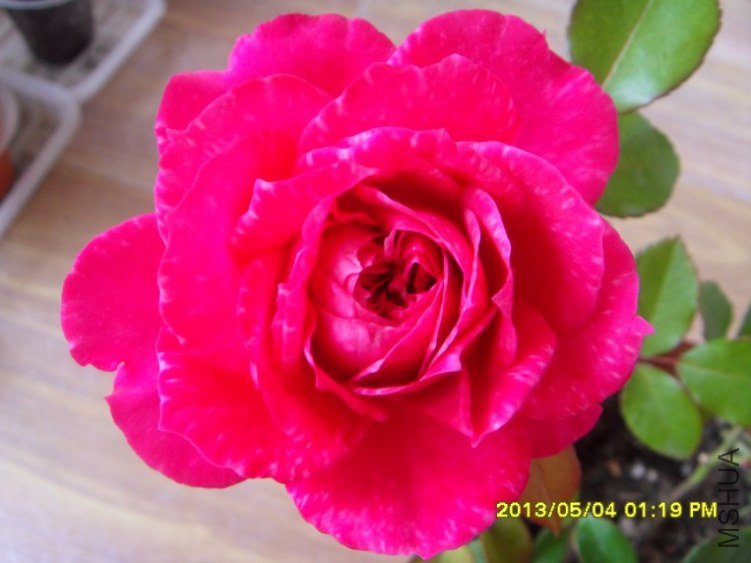 QQ��ͼ20130505182452.jpg