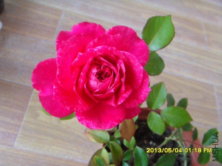 QQ��ͼ20130505182442.jpg