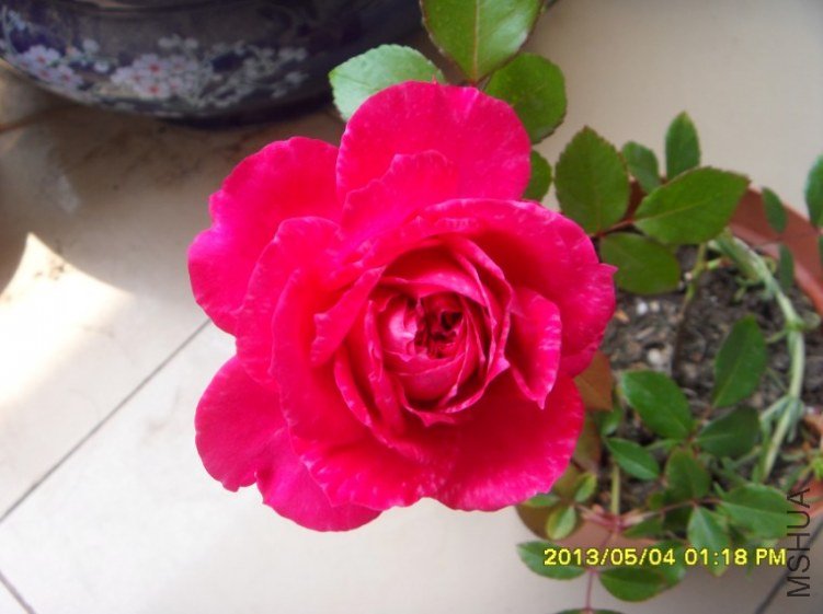 QQ��ͼ20130505182425.jpg