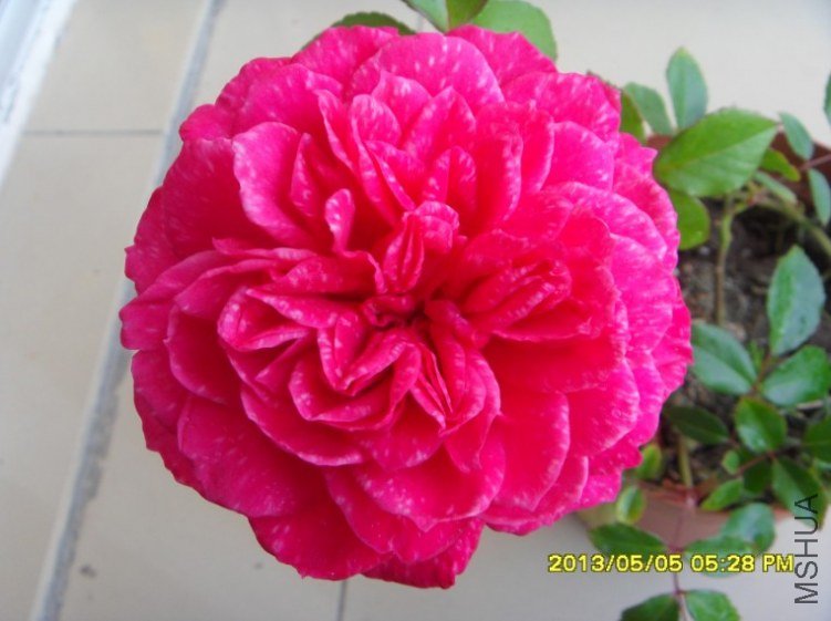 QQ��ͼ20130505182753.jpg