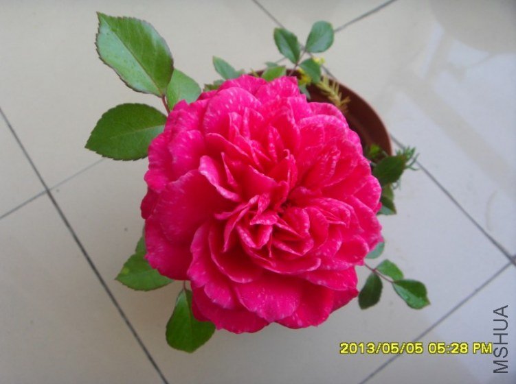 QQ��ͼ20130505182737.jpg