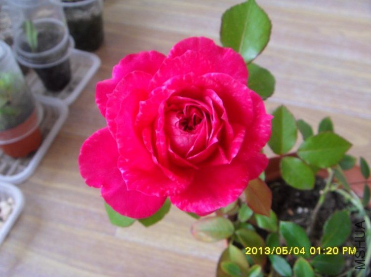 QQ��ͼ20130505182528.jpg