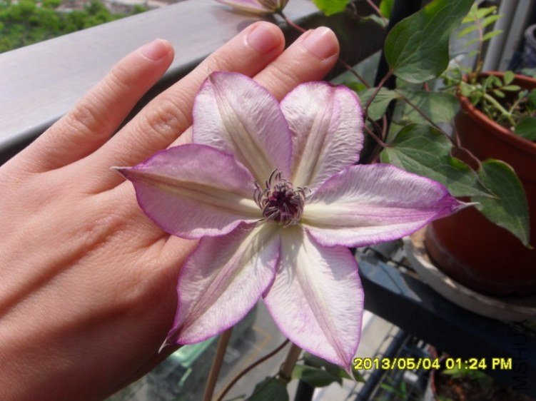 QQ��ͼ20130505182549.jpg
