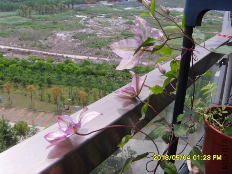 QQ��ͼ20130505182540.jpg