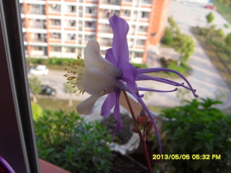 QQ��ͼ20130505182850.jpg