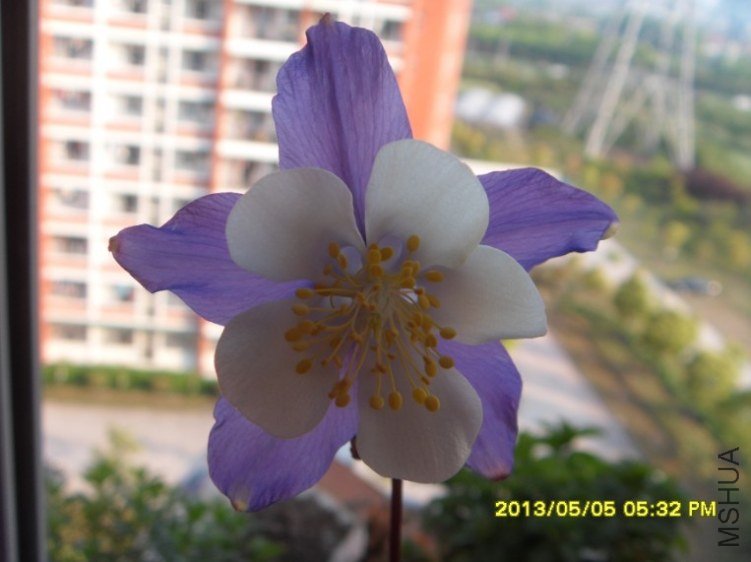 QQ��ͼ20130505182841.jpg