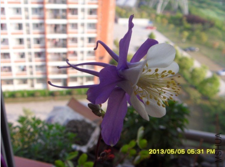 QQ��ͼ20130505182826.jpg