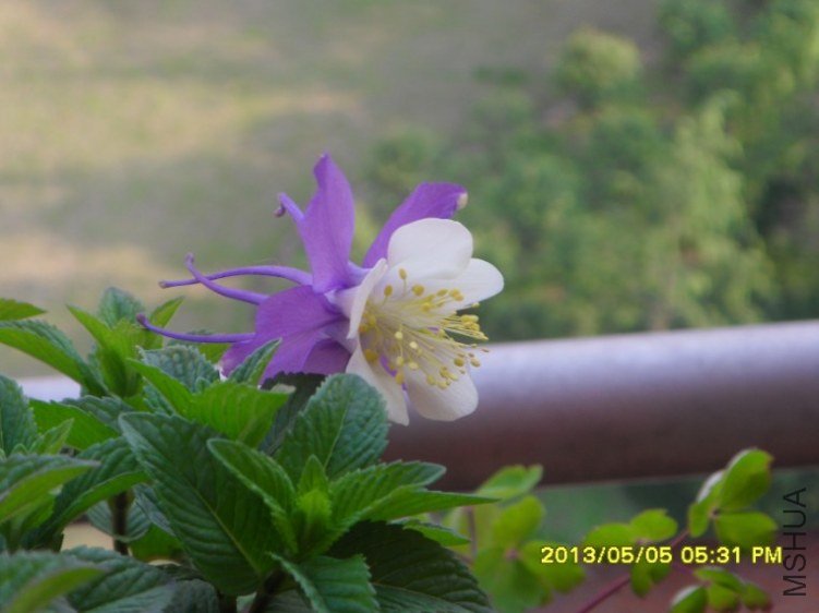 QQ��ͼ20130505182817.jpg