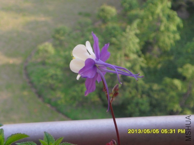 QQ��ͼ20130505182808.jpg