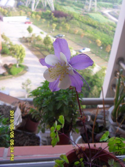 QQ��ͼ20130505182942.jpg