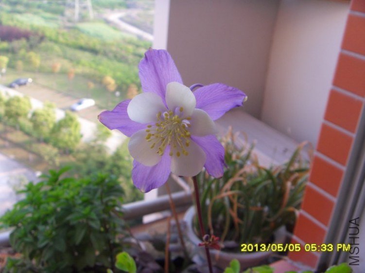 QQ��ͼ20130505182932.jpg