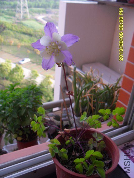 QQ��ͼ20130505182924.jpg