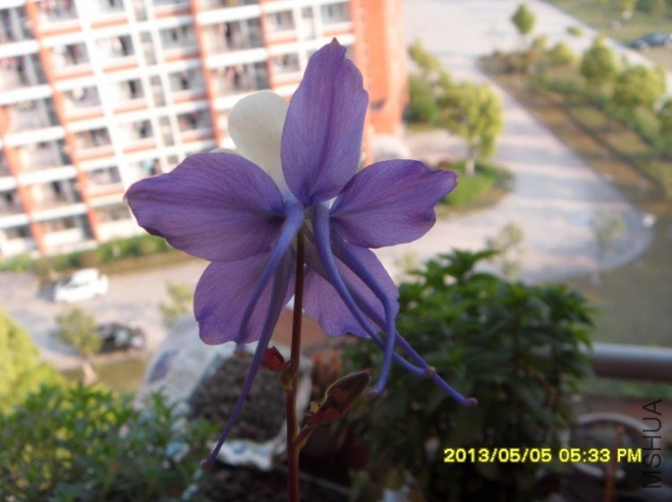 QQ��ͼ20130505182909.jpg