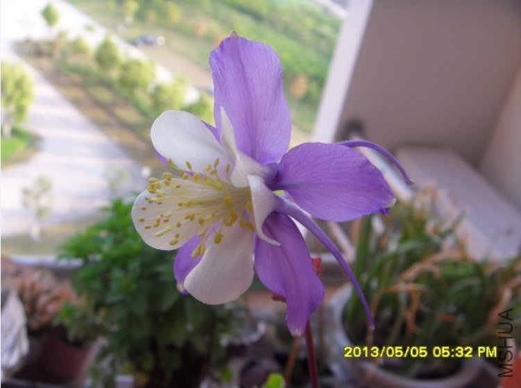QQ��ͼ20130505182859.jpg
