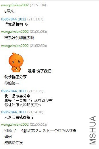 555555555555.jpg