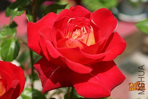 ��Ƭ 017_����.jpg