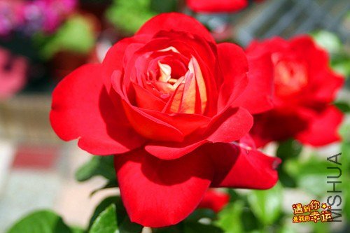 ��Ƭ 018_����.jpg