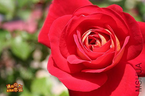 ��Ƭ 019_����.jpg