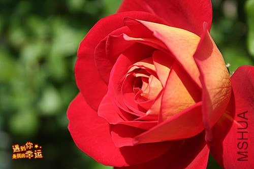 ��Ƭ 022_����.jpg