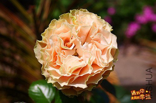 ��Ƭ 094_����.jpg