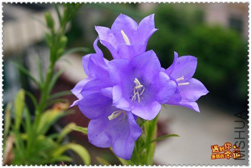 ��Ƭ 246_����.jpg