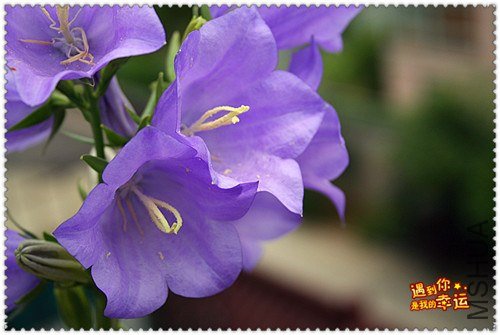 ��Ƭ 249_����.jpg