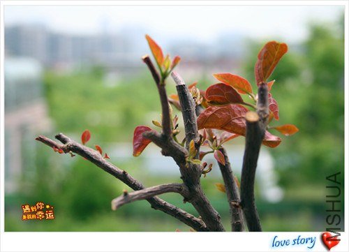 ��Ƭ 206_����.jpg