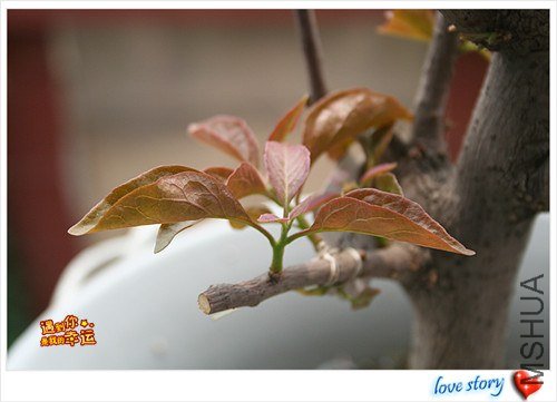 ��Ƭ 207_����.jpg