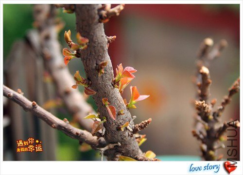 ��Ƭ 208_����.jpg