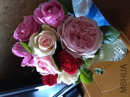 IMG_0641.jpg
