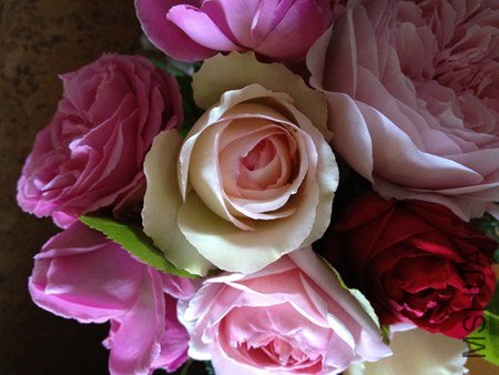 IMG_0642.jpg