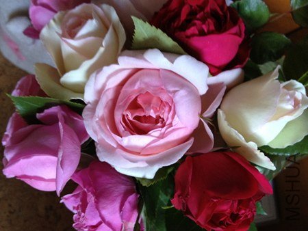 IMG_0643.jpg