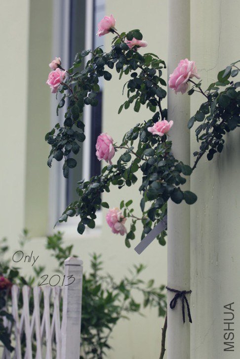 QQ��ͼ20130505221618.jpg
