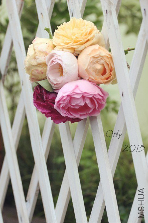QQ��ͼ20130505221658.jpg