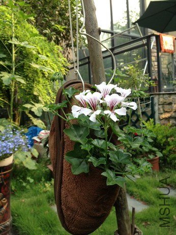 ��Ƭ 003_��С��С.jpg