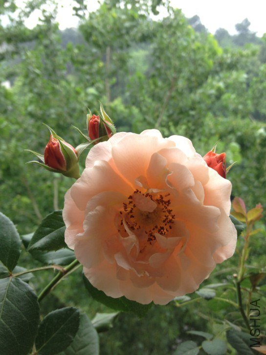 QQ��ͼ20130506104221.jpg